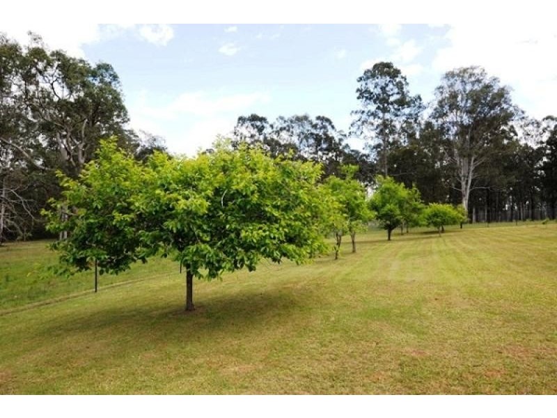 269 Parker Road, Wells Crossing, Grafton NSW 2460