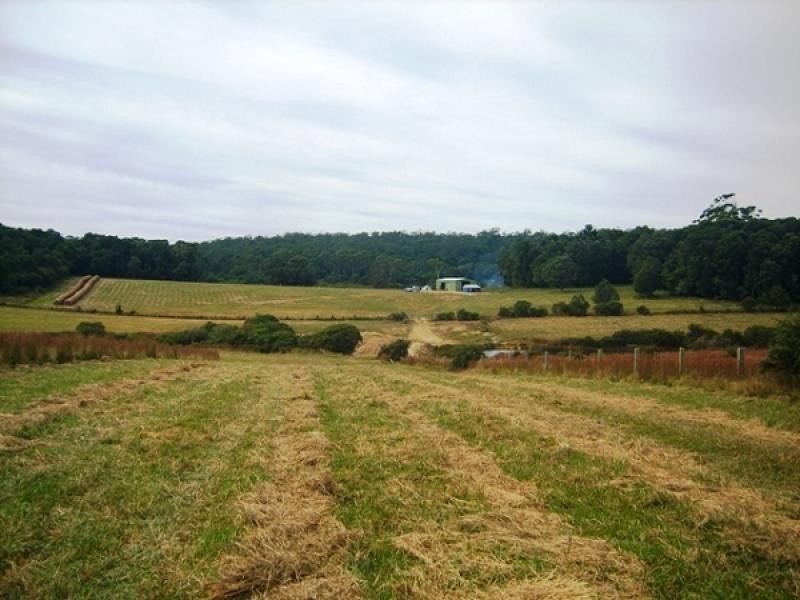 Lot 131 Lowanna Road, Lowanna NSW 2450