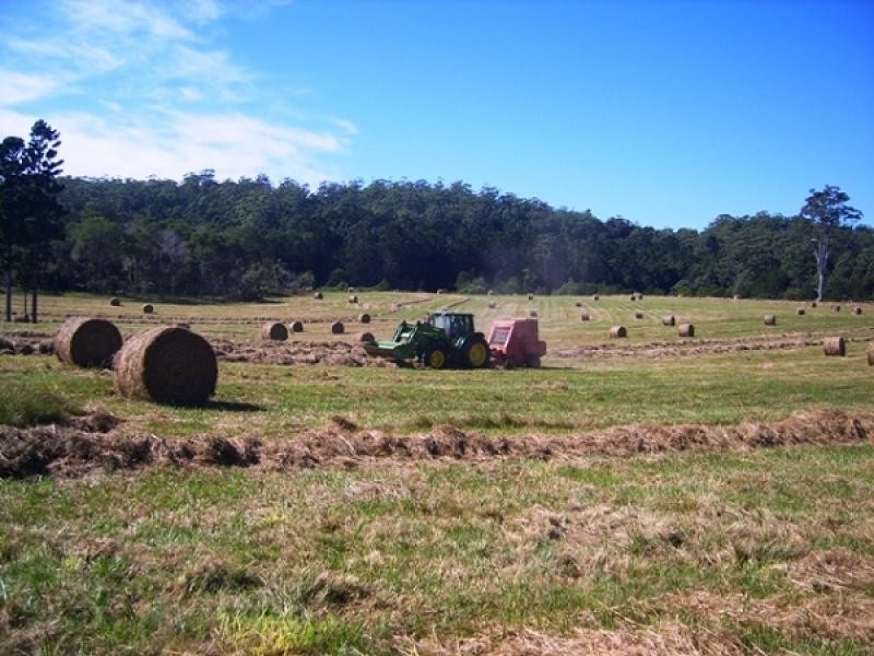 Lot 131 Lowanna Road, Lowanna NSW 2450