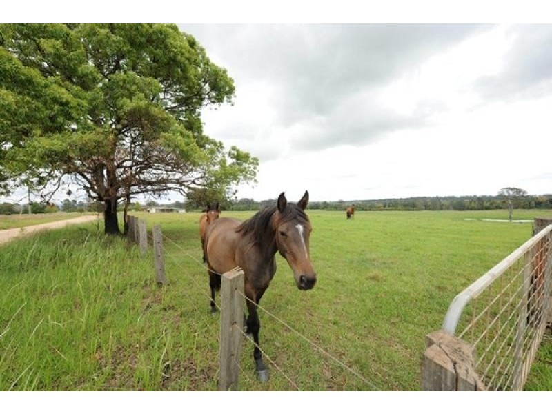 97 Levenstrath Road, MCPHERSONS CROSSING, Grafton NSW 2460