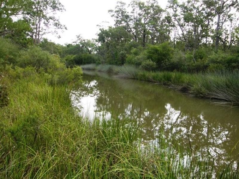 585 Coaldale Road, Fortis Creek NSW 2460