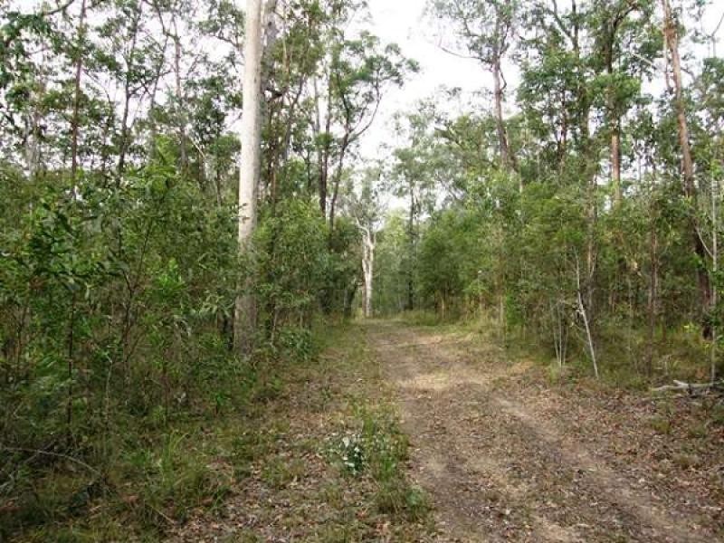 585 Coaldale Road, Fortis Creek NSW 2460