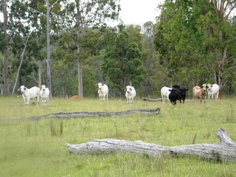 300 Doboy Road, Buccarumbi, Grafton NSW 2460