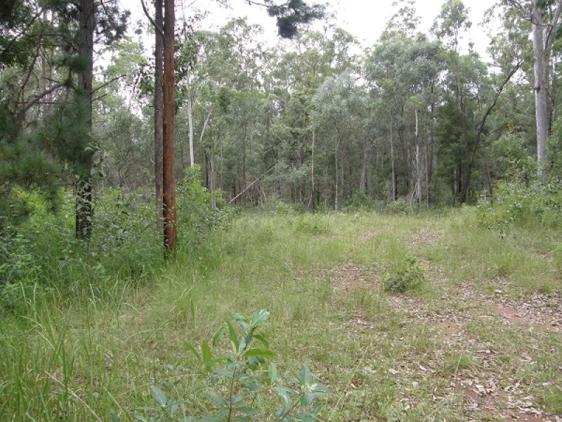 300 Doboy Road, Buccarumbi, Grafton NSW 2460