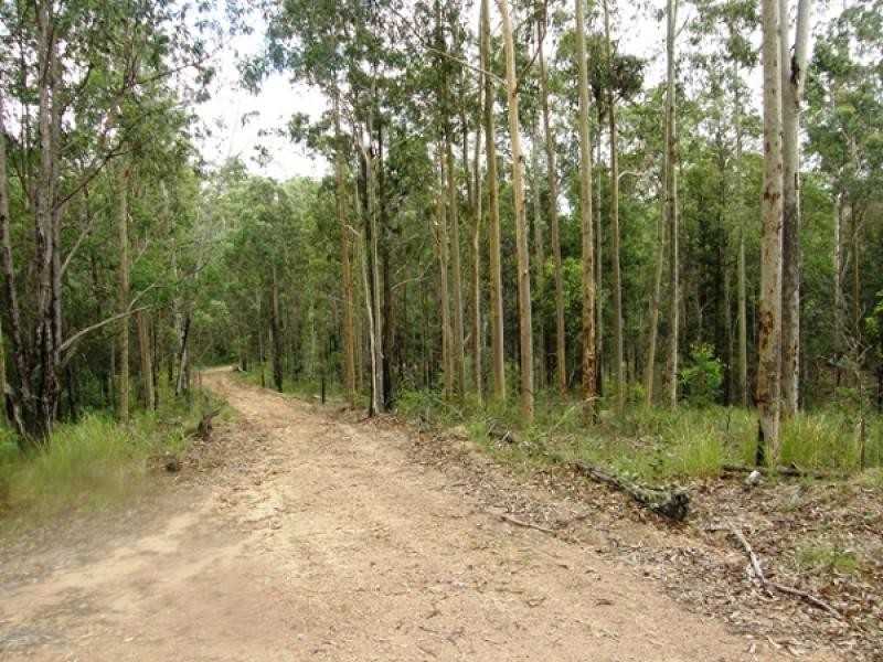 300 Doboy Road, Buccarumbi, Grafton NSW 2460