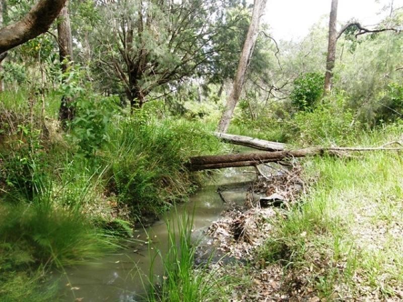 300 Doboy Road, Buccarumbi, Grafton NSW 2460