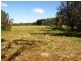 Lot 119 Orara Downs Road, Levenstrath NSW 2460