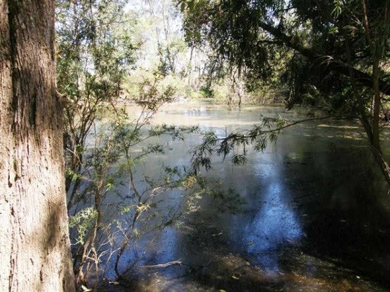 Lot 119 Orara Downs Road, Levenstrath NSW 2460