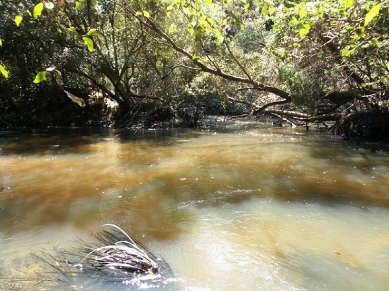 Lot 119 Orara Downs Road, Levenstrath NSW 2460