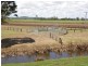 449 Back Kings Creek Road, Lawrence NSW 2460