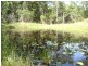 358 Dinjerra Road, Glenugie NSW 2460