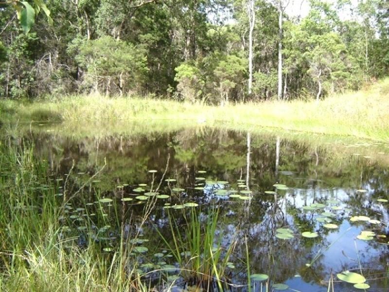 358 Dinjerra Road, Glenugie NSW 2460