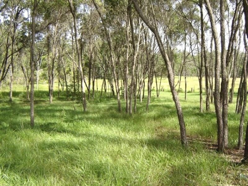 358 Dinjerra Road, Glenugie NSW 2460