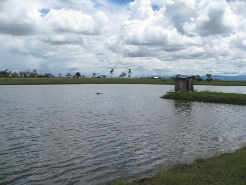 Lot 140/1467 Middle Road, Peak Crossing QLD 4306