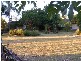 21 GIRRAL ROAD, Thagoona QLD 4306