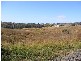 WOOLSHED CREEK ROAD, Tallegalla QLD 4340