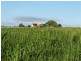 361 Mount Walker Road West, Lower Mount Walker QLD 4340