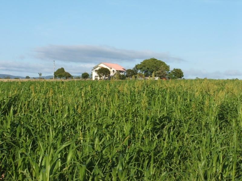 361 Mount Walker Road West, Lower Mount Walker QLD 4340