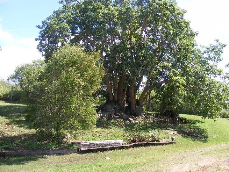 Lot 14/ Woolshed Creek Road, Tallegalla QLD 4340