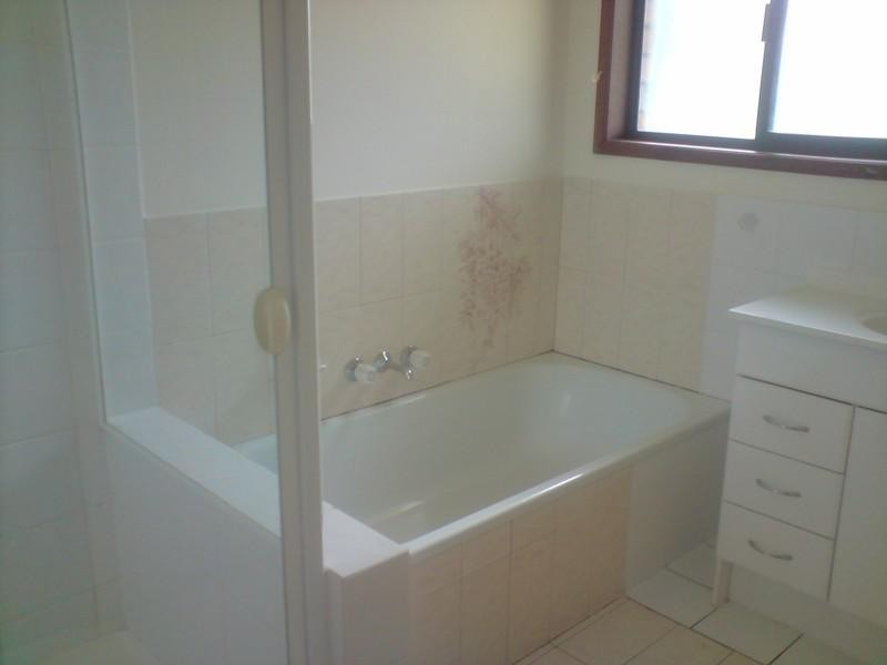 65 lobelia, Daisy Hill QLD 4127