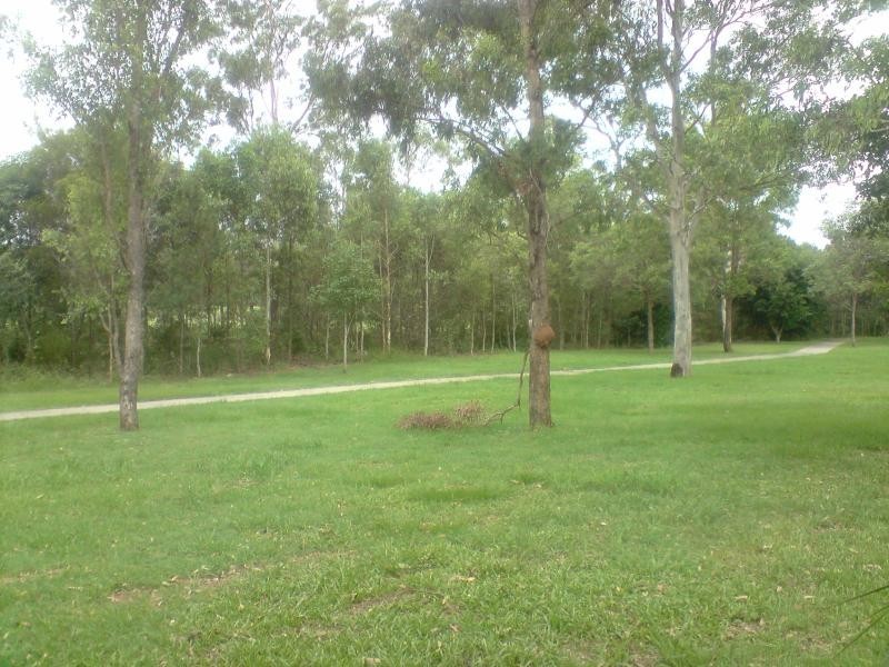 65 lobelia, Daisy Hill QLD 4127