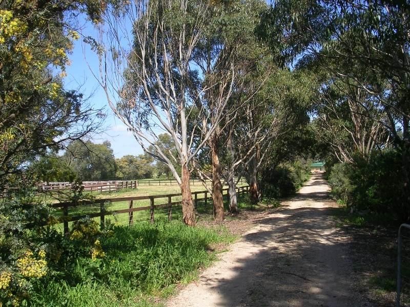 80 COBBLERS CREEK RD, BAIRNSDALE, Bairnsdale VIC 3875