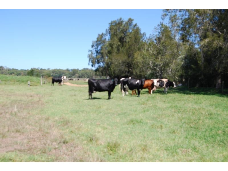 Eagle Point VIC 3878