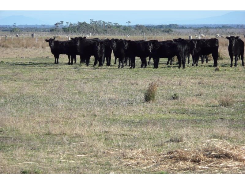 Lot 1-5/ Aitkens Road, Goon Nure VIC 3875