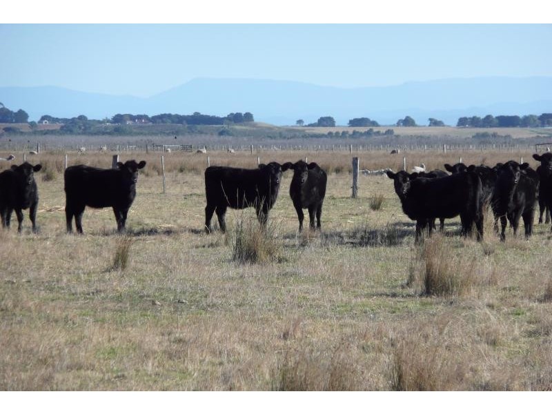 Lot 1-5/ Aitkens Road, Goon Nure VIC 3875