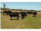 Bairnsdale VIC 3875