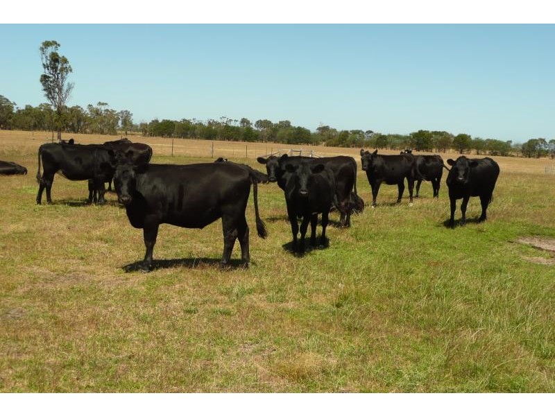 Bairnsdale VIC 3875