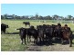 Bairnsdale VIC 3875