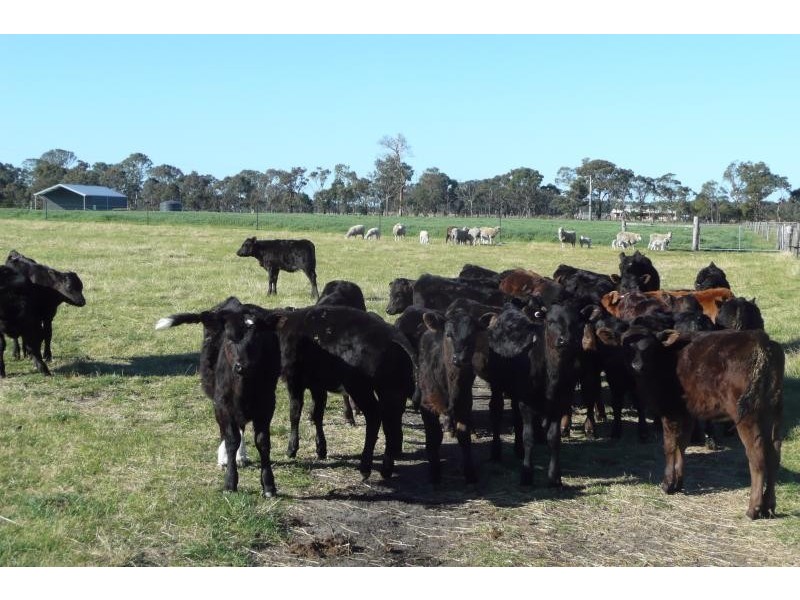 Bairnsdale VIC 3875