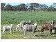 Bairnsdale VIC 3875
