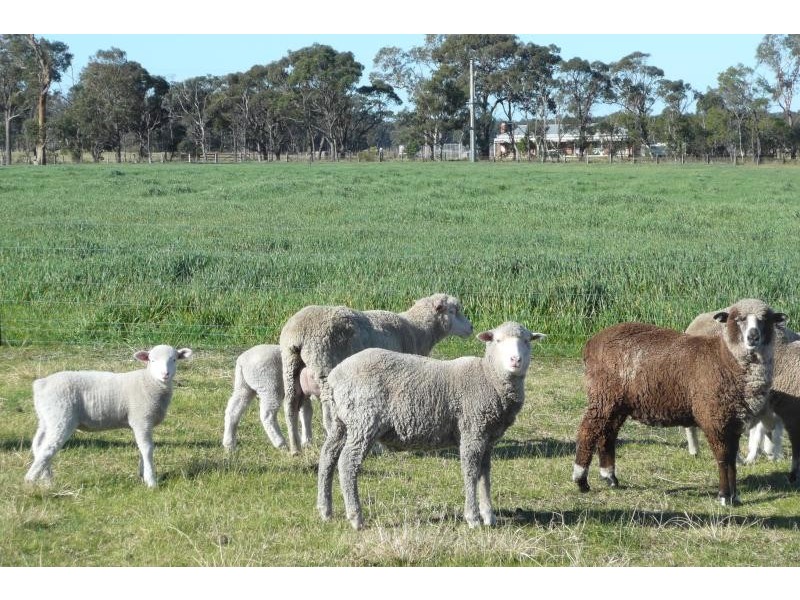 Bairnsdale VIC 3875