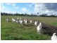 Bairnsdale VIC 3875