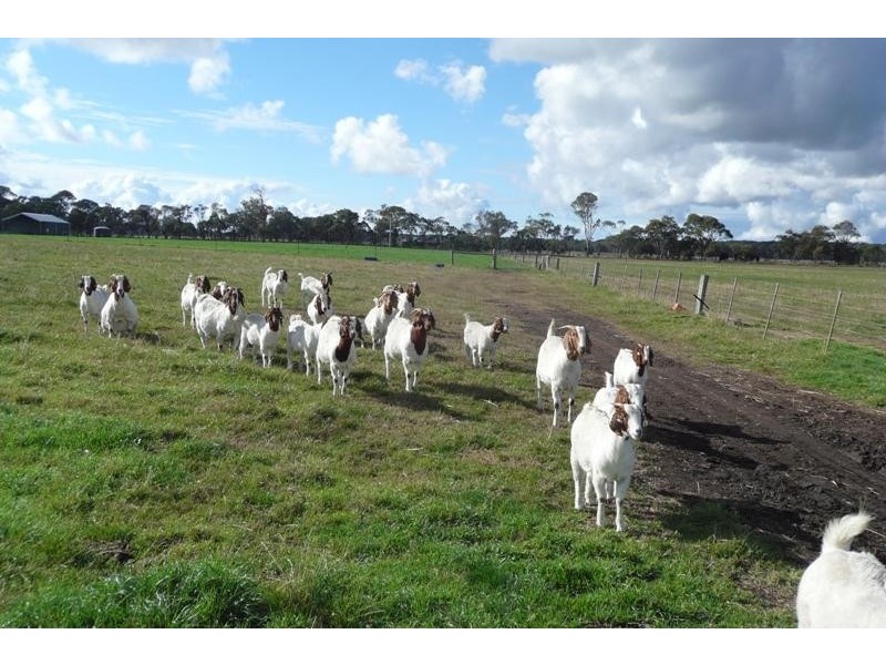 Bairnsdale VIC 3875