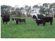 Bairnsdale VIC 3875