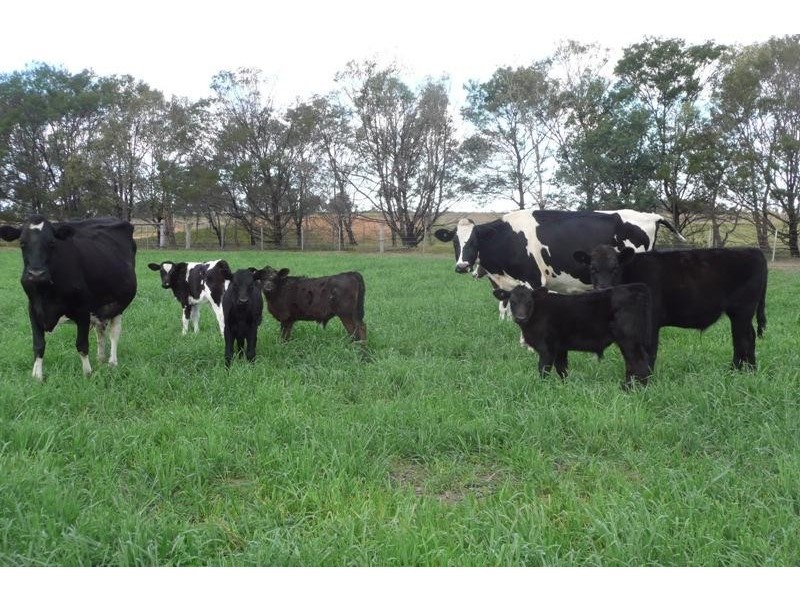 Bairnsdale VIC 3875