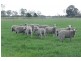 Bairnsdale VIC 3875