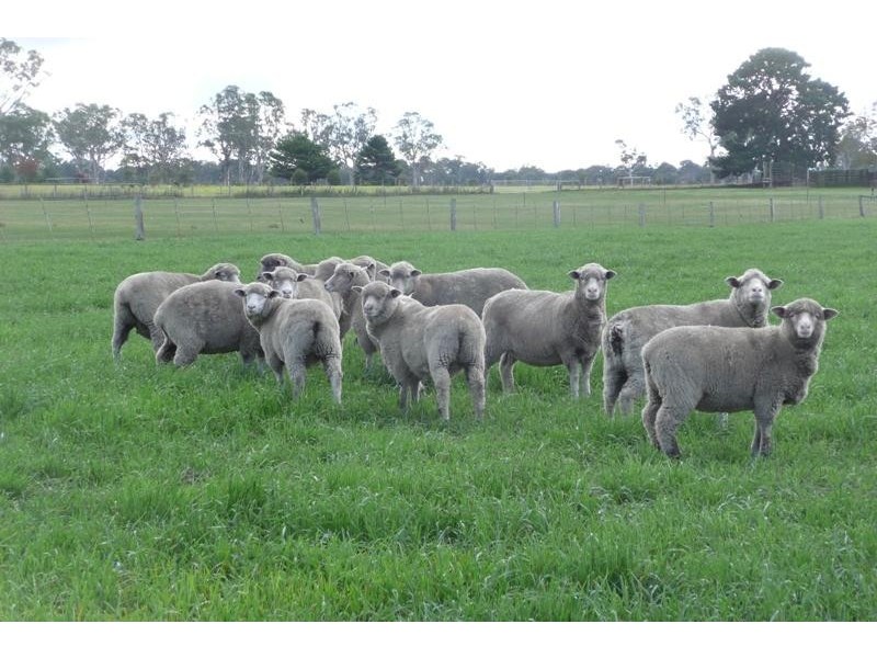 Bairnsdale VIC 3875