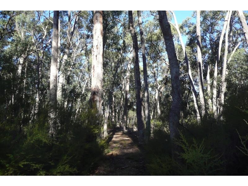 4690 Dargo Road, Cobbenah, Bairnsdale VIC 3875