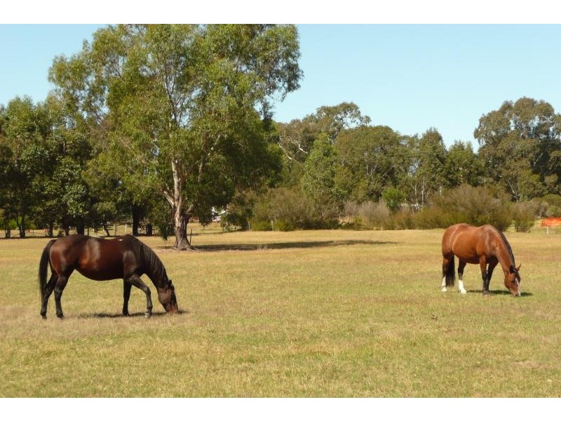 40 Lindenow Fernbank Road, Lindenow South VIC 3875