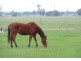Bairnsdale VIC 3875