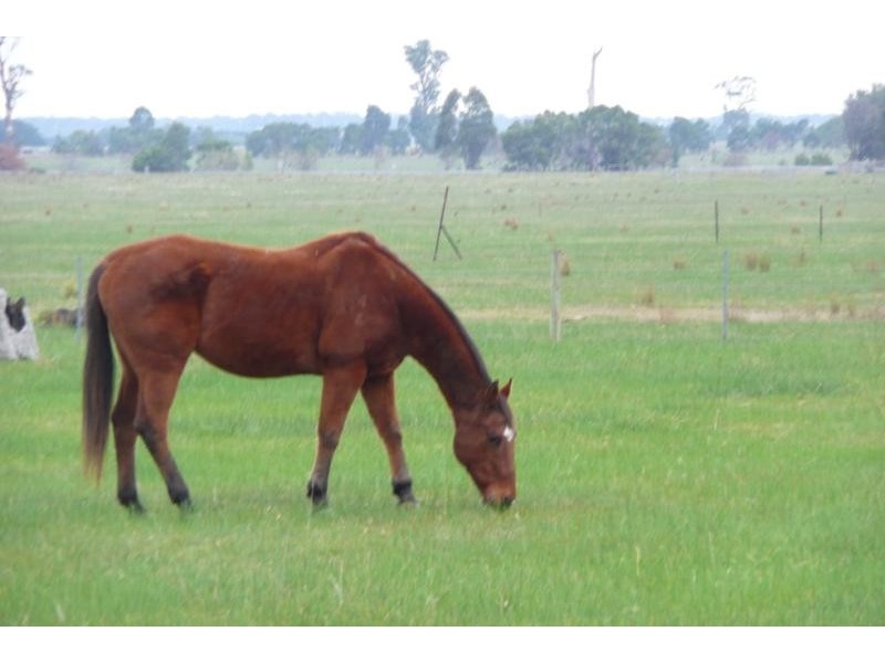 Bairnsdale VIC 3875