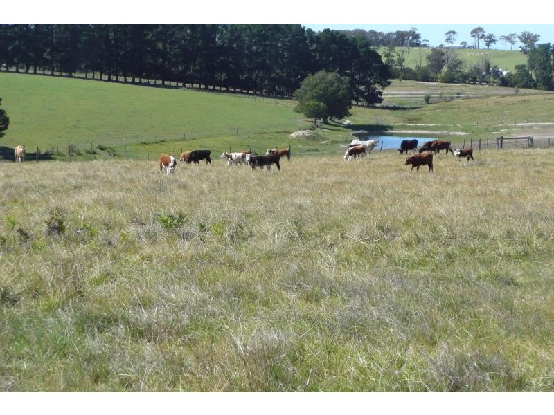 530 Great Alpine Road, Bairnsdale VIC 3875