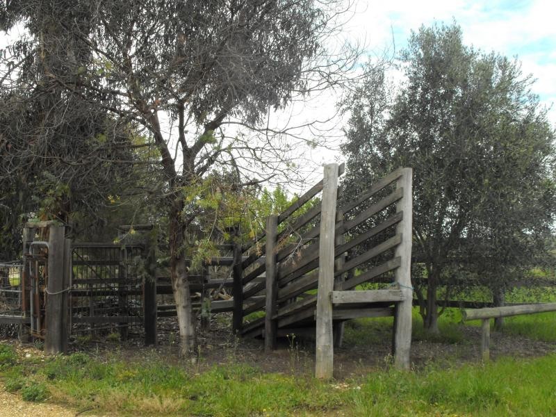 105 Woodglen Road, Woodglen VIC 3875