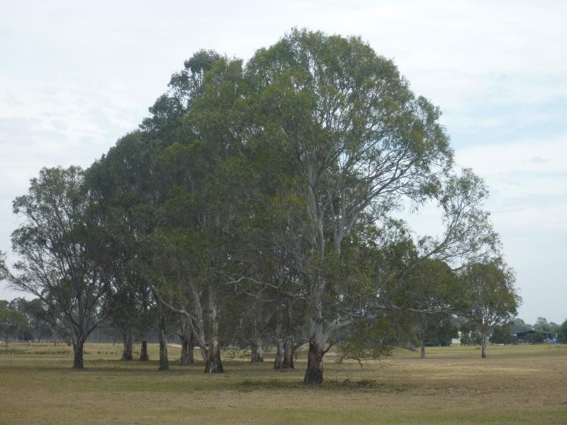 110 Walkers Road, Lindenow South VIC 3875