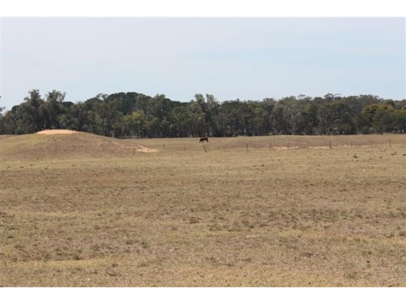 295 Romawi Road, Bairnsdale VIC 3875