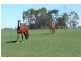 145 Lindenow South Fernbank Road, Lindenow South VIC 3875
